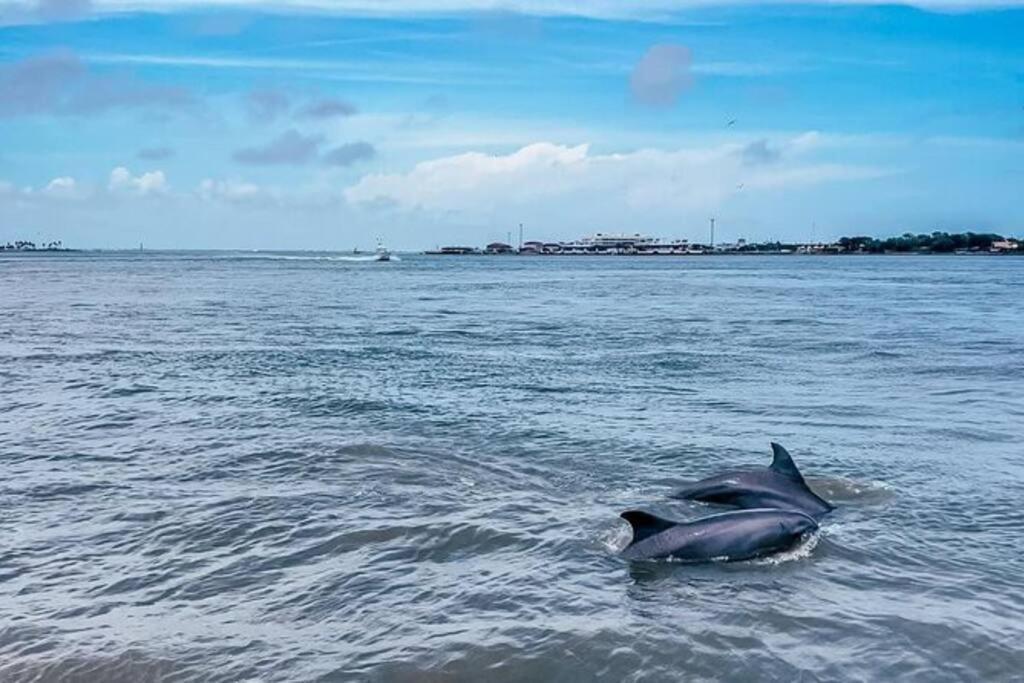Willa Kari'S Island Escape - Historic District Galveston Zewnętrze zdjęcie